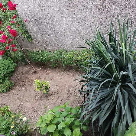 بيت ضيافة House Gabi 3*