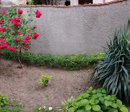 بيت ضيافة House Gabi سوزوبول