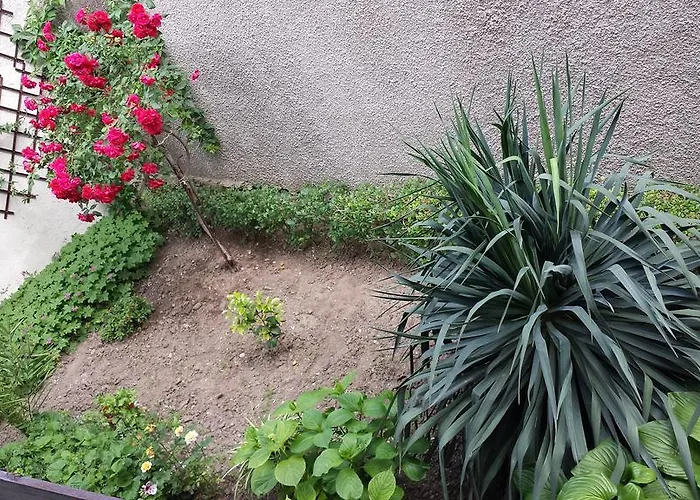 Penzion House Gabi 3*